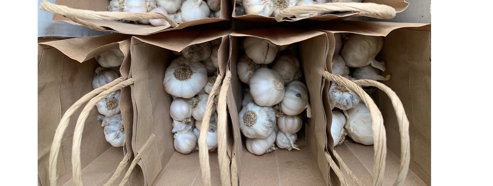 Hunter Valley Garlic, best garlic. Wollombi, Laguna Fernances Crossing. Wollombi Market