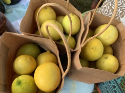 Every Monday Long Weekend Wollombi Market - Dos Juans Fine Food Open Farm Gate